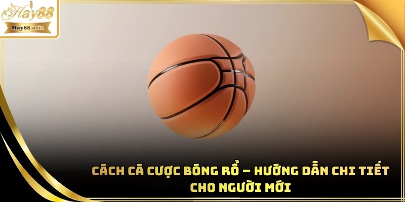 Cách Cá Cược Bóng Rổ