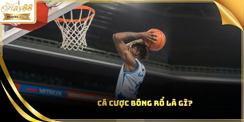 Cá cược bóng rổ được yêu thích