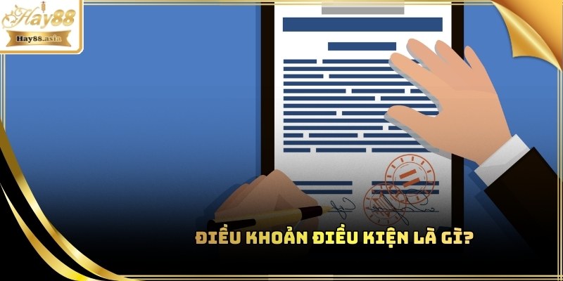 Điều khoản điều kiện khi tham gia tại Hay88