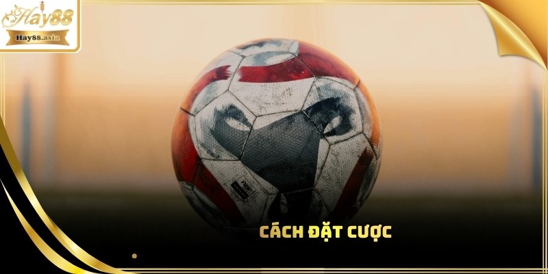 Cách đặt cược cho tân binh mới tham gia năm 2026